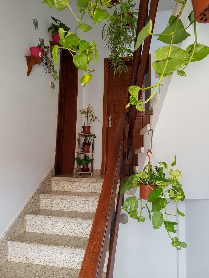 Apartmán Atico Con Vistas Al Mar, Garachico Garachico  Exteriér fotografie